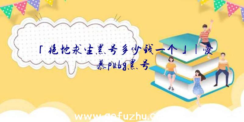 「绝地求生黑号多少钱一个」|爱慕pubg黑号